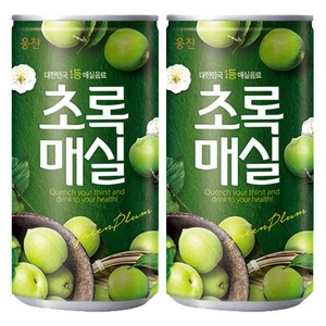 캔음료 캔 탕비실 음료수 매실180mlx60캔, 180ml