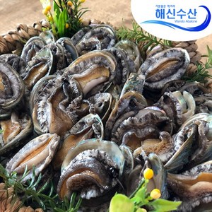 해신수산* 라면전복 13~22마리 300g 산지직송(평일오후2시 당일출고), 1개