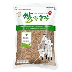 쌀집총각 슈퍼푸드 렌틸콩, 1개, 1kg