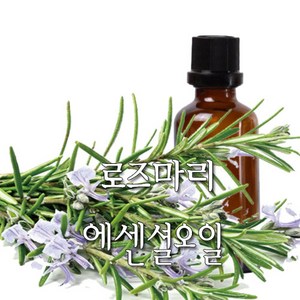 허니솝 로즈마리 아로마 에센셜오일, 로즈마리 에센셜오일 10ml, 1개