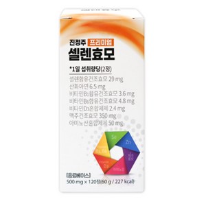 진정주 프리미엄 셀렌효모 1박스 (500mg x 120정), 1개, 120정