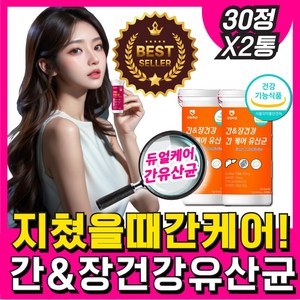 간 유산균 nvp1702식약청 간케어 앤유산균 [옵션선택] 바이크롬, 2박스, 30정