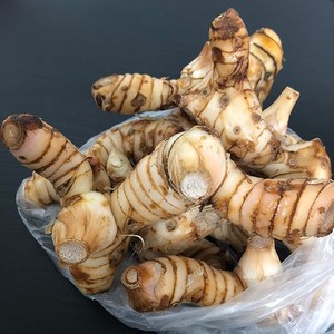 월드푸드 WORLDFOOD GALANGAL 갈랑갈 CU RIENG, 1개, 100g