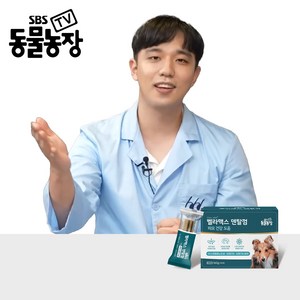 SBS TV 동물농장 덴탈껌 강아지 치석 양치 입냄새 제거, 구강/치석관리, 단품, 3세트, 160g