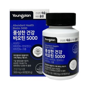 [내쇼날그로스] 영진약품 영플랜 풍성한건강 비오틴 5000 500mg*60정, 60정, 1개
