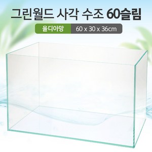 그린월드 사각 수조 60슬림 (6T) (올디아망) (60x30x36)+우레탄매트서비스, 1개