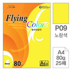 플라잉칼라 P09 노랑색 A4 80g 복사용지 25매입 10개, 단품, 상세 설명 참조