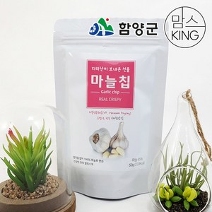 [함양군]화신영농조합 지리산이 보내 온 선물 마늘칩 50gX3개, 3개, 50g