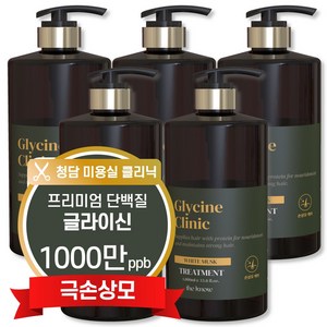 더노우 고함량 글라이신 LPP 단백질 미용실 트리트먼트, 5개, 1L