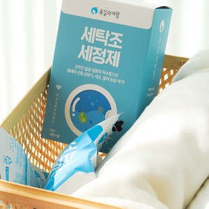 욕실의여왕 세탁조 클리너 4p, 400g, 1개