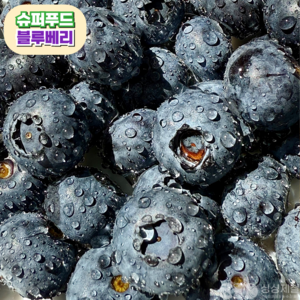 [프리미엄] 국내산 생 블루베리 산지직송, 1개, 16mm 특 2팩(200g)