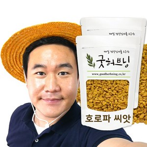 호로파 씨앗 씨 차 페누그릭 500g 굿허브닝, 2개