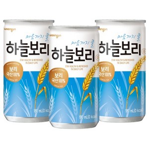 웅진 하늘보리 180mL, 60개