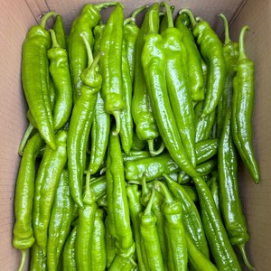 [금성식품]중국안매운고추볶음용 유쬬 1kg, 1개