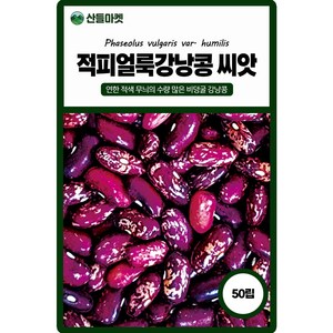 산들마켓 적피얼룩 강낭콩씨앗 50립 연한 적색의 비덩굴성 강낭콩씨 종자, 1개