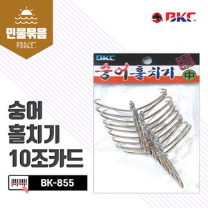 운피싱 BKC 숭어 훌치기 바늘 10개입, 10개