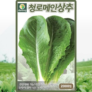 다농 청로메인상추 쌈채소 씨앗 2000립, 1개