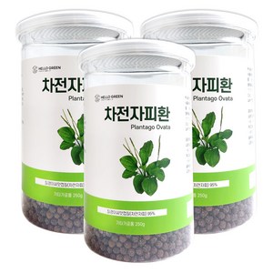 헬로우그린 차전자피환 250g(통) 식이섬유 차전초, 3개, 250g