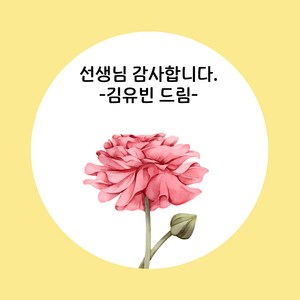 문구 변경 스티커 굿모닝 베이비 감사 스티커 교회 스티커 축하 스티커 학원 스티커 선생님 감사합니다 스티커 스승의날 스티커 기념일 스티커 답례 스티커, 20개, 선생님 감사합니다_04