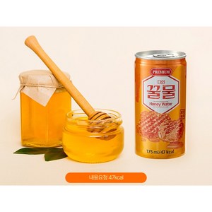 [보내Go]다인 꿀물 (업소용) 가성비캔, 30개, 175ml