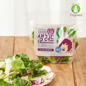 데이밀 자연을담은 샐러드 실속B 100g x 5팩 국내산 야채믹스, 5개