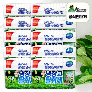 산도깨비 냉장고 탈취제 숯 420g, 10개