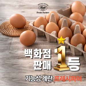 특허받은 고기능성 프레시 파머 동물복지 유정란, 2개, 600g이상(10개입)