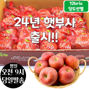 [오전8시 주문건 당일발송] 12브릭스 당도선별 세척사과 3kg (16~21입 소과), 1개