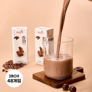 부산우유 멸균 초코우유, 48개, 190ml