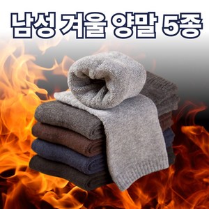 버나비 데일리 남성 겨울 양말 중목 5종세트