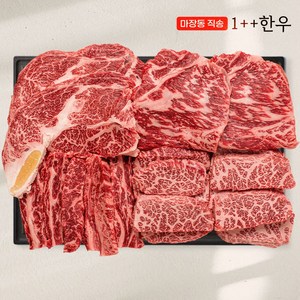 마장동직송 최고급 한우 1++ 투쁠 모듬세트, 1kg, 1개