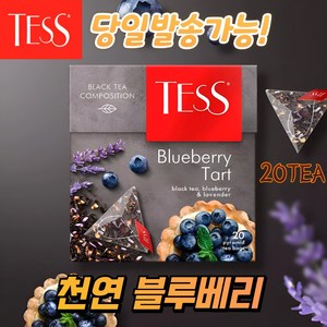 테스 블루베리 과일 허브티 홍차 삼각티백 TESS BLUEBERRY TART, 1개, 20개입, 1.8g