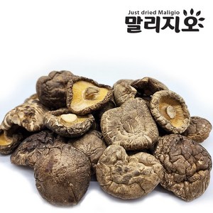 말리지오 건표고버섯 중 대, 1개, 1kg(대)