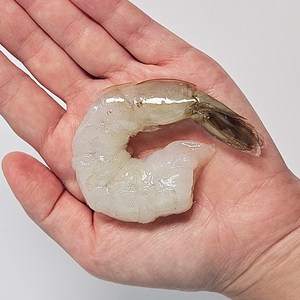 [정품] 칵테일 새우 냉동 깐새우, 1개, 500g(31~40미)