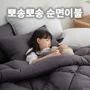 태제로나 고밀도 60수 순면이불 사계절 차렵이불 SS/Q 5color