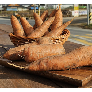 따봉프레시 백화점용 3차선별 고당도 제주 경남 황제 햇당근, 1개, 3kg(중)