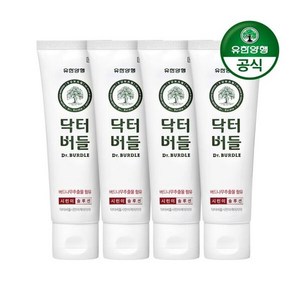 [유한양행]닥터버들 시린이케어 치약 100g 4개