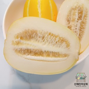 [산해진미상회] 고당도 꿀참외 성주 당일배송 신선 아삭, 1개, 일반 2kg (대과/4~6과)