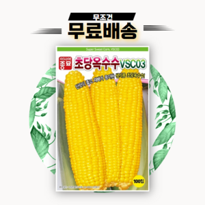 (씨앗) 초당옥수수 - 생식이 가능하며 당도가 높은 설탕옥수수 - 옥수수 씨앗 종자 - 100립, 1세트