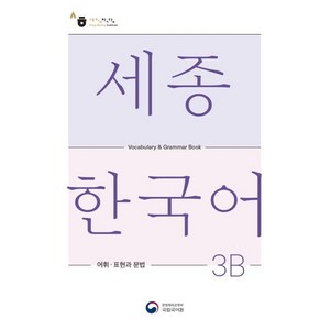 세종한국어 3B 어휘 표현과 문법(Sejong Koean Vocabulay and Gamma 3B), 공앤박