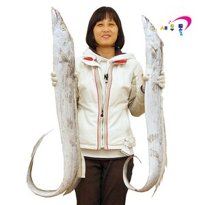 새우몰 왕갈치 3.2kg (800g x 4팩) 선상동결 절단갈치, 4개