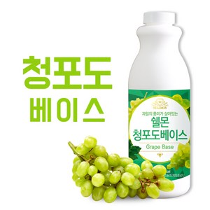 쉘몬 과일농축액 청포도베이스 1kg, 1개