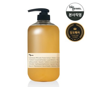 빅그린 탈모 카렌듈라샴푸 1000ml/ 지성 두피, 1개, 1L