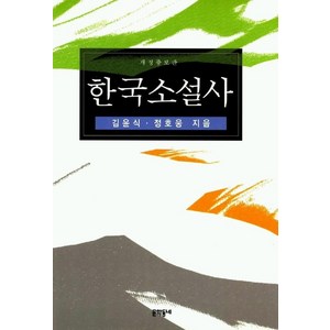 한국소설사, 문학동네, 김윤식