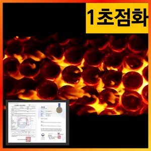 [1초점화] 바베큐숯 친환경 사과나무 고체연료 캠핑숯, 100개