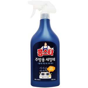 LG생활건강 홈스타 주방용 세정제 750ml x 2개