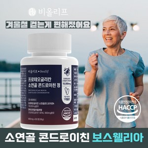 비올리프 콘드로이친 소연골 프로테오글리칸 보스웰리아 HACCP, 1개, 60정