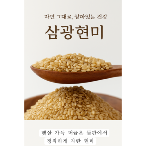 [24년산 햅쌀] 삼광 현미(맵쌀) 10kg국내산 단일품종(GAP인증시설 도정)세종라이스 정미소김씨, 10kg, 1개