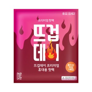 알뜰공식 뜨겁데이 휴대용 흔드는 핫팩 45g, 100개