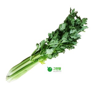 샐러리 1단(700~800g), 1개